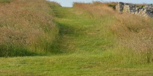 Landschaft in Northumberland