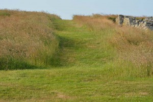 Landschaft in Northumberland