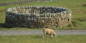 Housesteads Fort