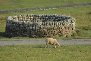 Housesteads Fort