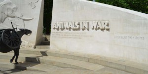 Denkmal für die toten Tiere im Krieg