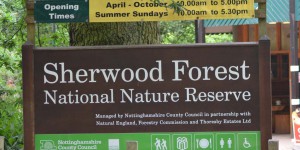 Naturreservat Sherwood Forest