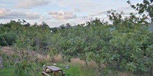 Picknickplatz am Stellplatz