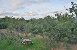 Picknickplatz am Stellplatz