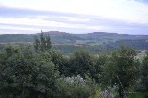 Aussicht am Stellplatz