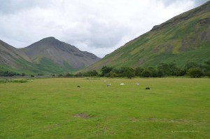 Landschaft im Lake District