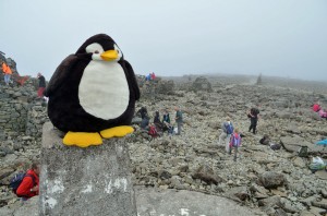 Auch Pingu war oben
