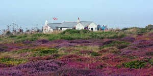 Heide am Lands End