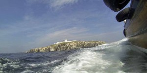 Fahrt mit dem Schiff zu Farne Islands