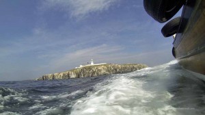 Fahrt mit dem Schiff zu Farne Islands