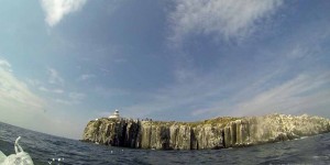 Fahrt mit dem Schiff zu Farne Islands