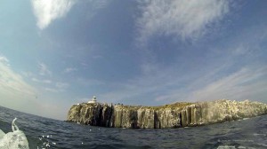 Fahrt mit dem Schiff zu Farne Islands