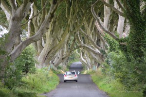 Dark Hedges in Nordirland