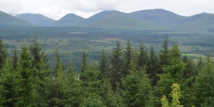 Landschaft in Schottland