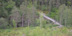 Brücke über die Schlucht