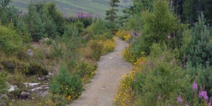Wanderweg an den Falls of Measach
