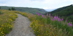 Wanderweg an den Falls of Measach