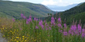 Wanderweg an den Falls of Measach