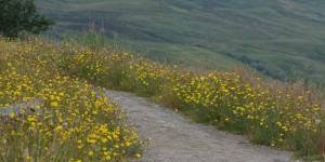 Wanderweg an den Falls of Measach