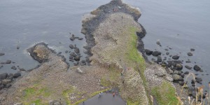 Blick auf Giants Causeway