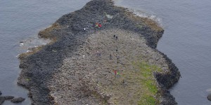 Blick auf Giants Causeway