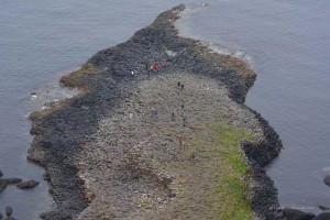 Blick auf Giants Causeway