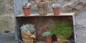 Die stehen da einfach so rum und keiner weiß wieso