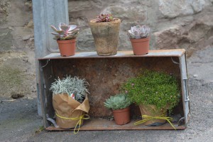 Die stehen da einfach so rum und keiner weiß wieso