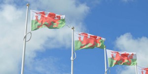 Flaggen von Wales