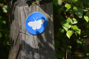 Schmetterling als Wanderwegzeichen