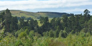 Landschaft in Schottland