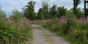 Wanderweg bei Lockerbie