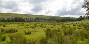 Schottische Highlands