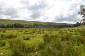 Schottische Highlands