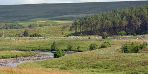 Schottische Landschaft