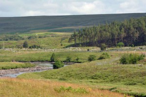 Schottische Landschaft