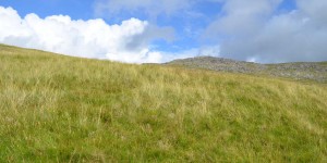 Walisische Landschaft