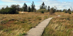 Geburtstagsrückblick