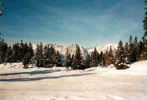 Arbeiten in Österreich