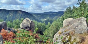 Harz