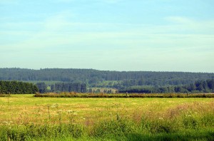 Hohes Venn