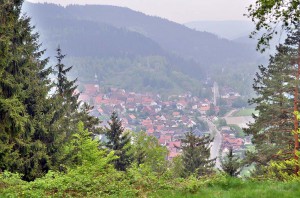 Aussicht auf ein Dorf im Harz