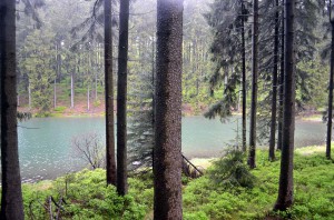 Mittlerer Grumbacher Teich