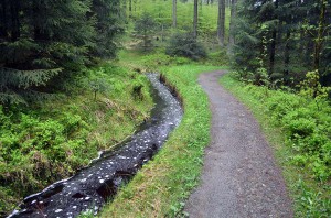 Wandern entlang dem Dammgraben