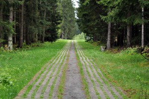 Kolonnenweg