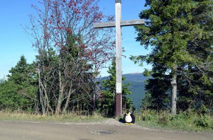 Pingu am Gipfelkreuz