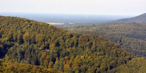 Landschaft am Hermannsdenkmal