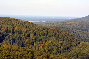 Landschaft am Hermannsdenkmal