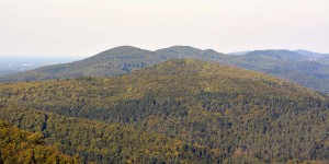 Landschaft am Hermannsdenkmal
