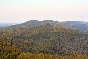 Landschaft am Hermannsdenkmal